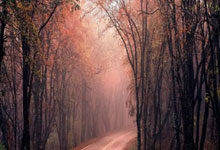 芒果体育：法媒：姆巴佩訓練前已通知隊友將離隊.