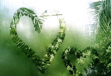 美众议院投票通过共和党预算决议 推进特朗普政府优先事项.